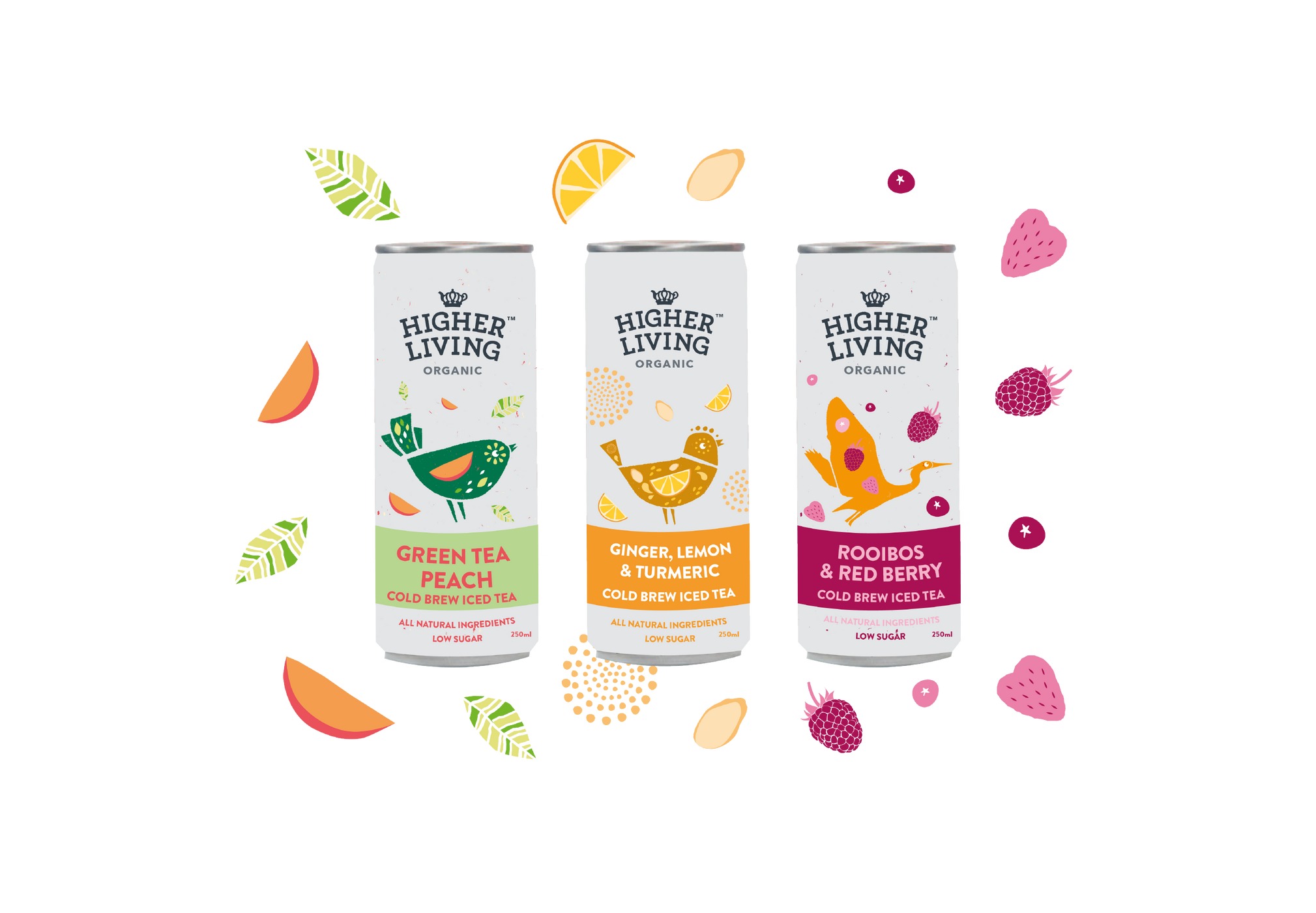 Iced Tearrific Tasters Higher Living Teas