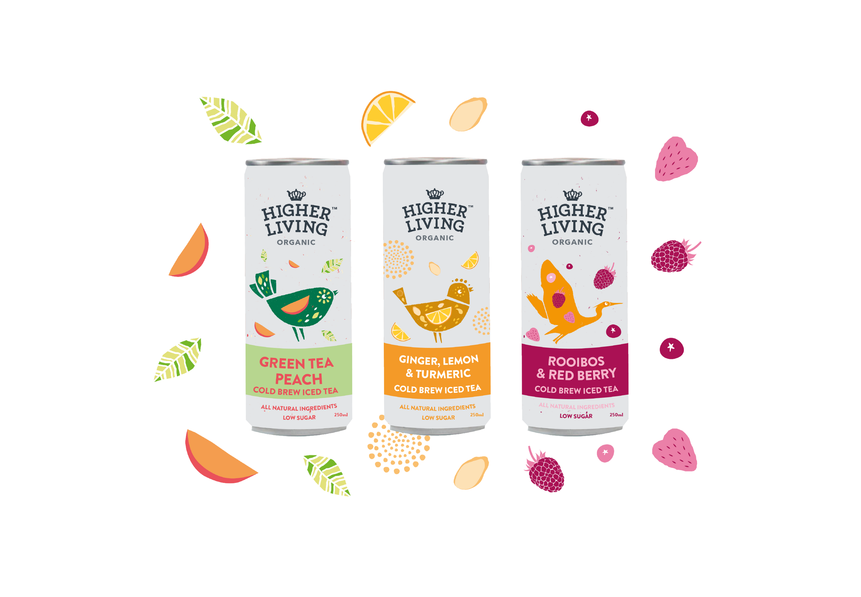 Iced Tearrific Tasters Higher Living Teas